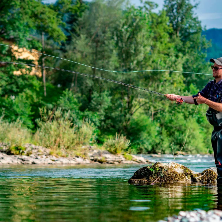 5 imperdibles de Aysén