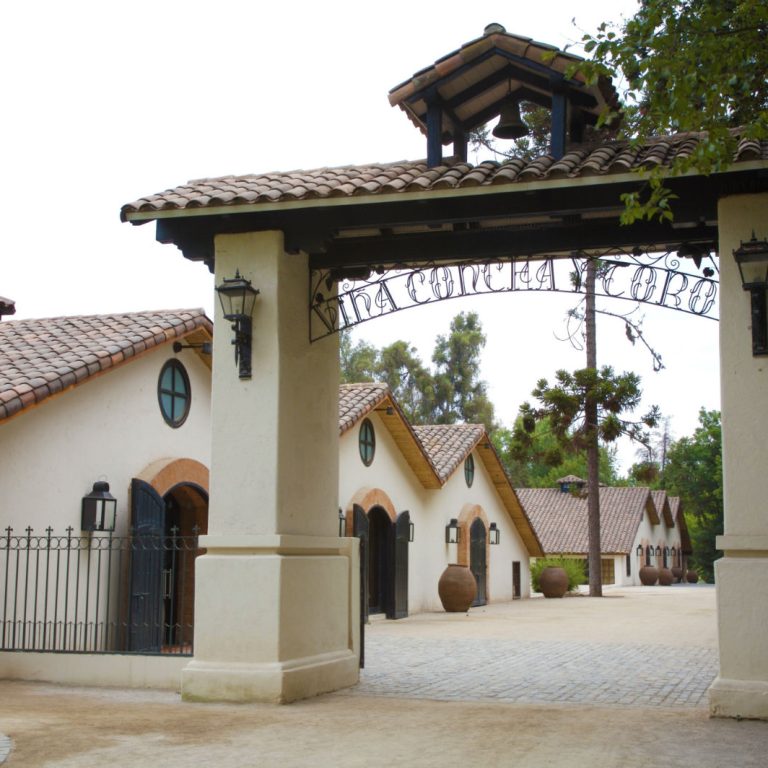 Santiago and Wine Tour
