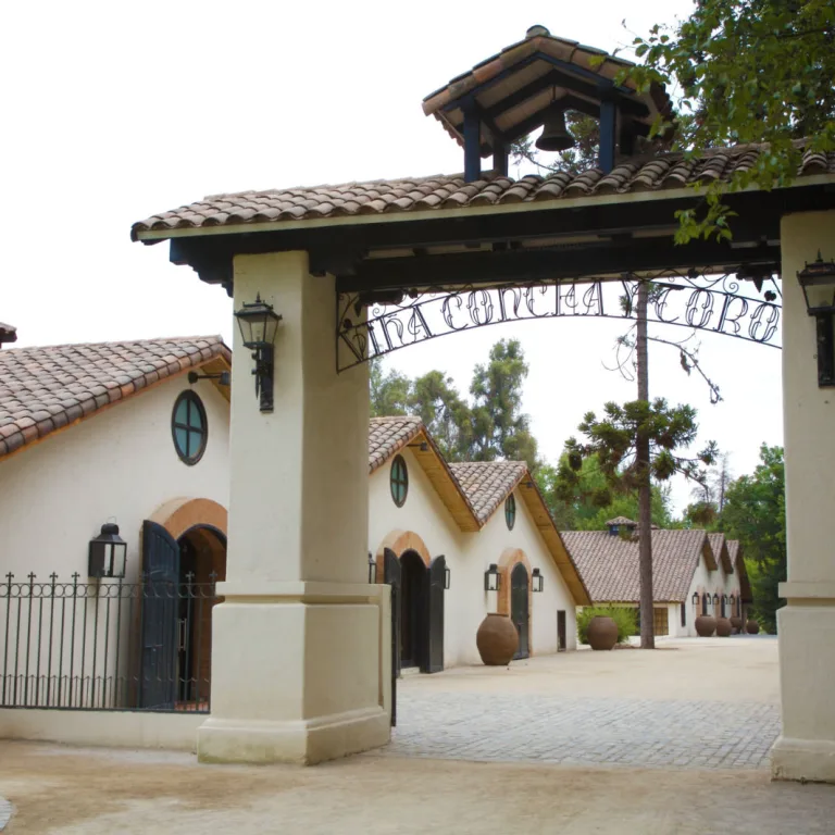 Tour Santiago y Vino