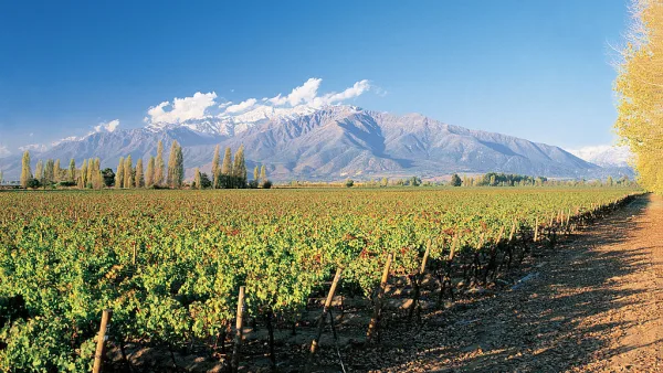 Viña Concha y Toro