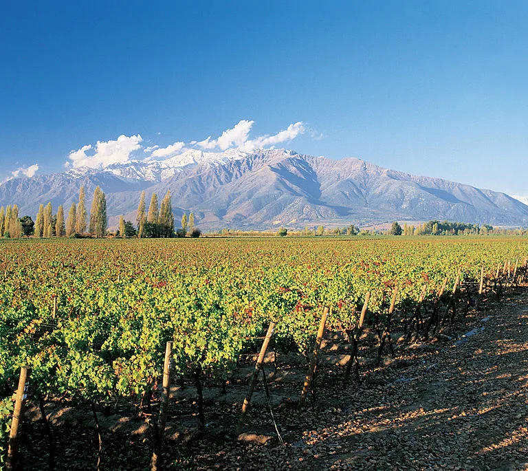 Santiago y Vino