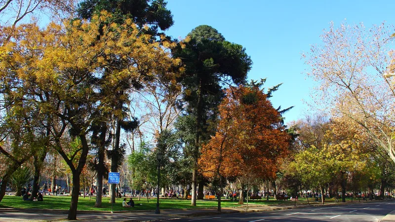 Parque Forestal
