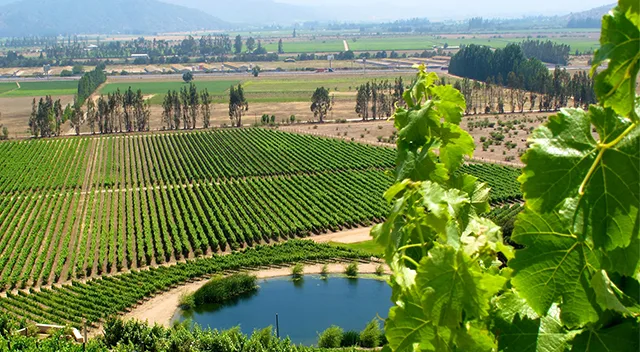 Viña Veramonte