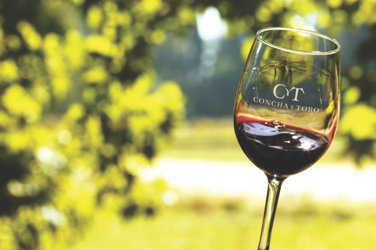 Viña Concha y Toro