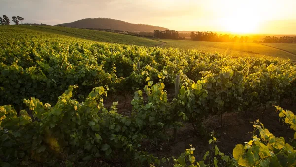 Maipo Valley