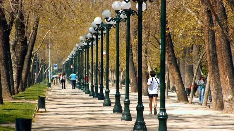 Parque Forestal