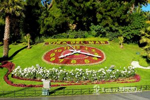 Reloj de Flores