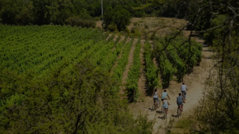 Viña Veramonte