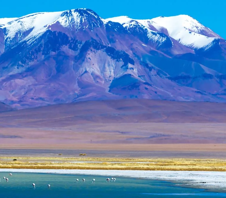 ¡Bienvenidos a GreatChile.com!